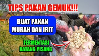 TIPS FOR FATTENING CHICKENS!!! MAKE SUPER ECONOMICAL AND CHEAP FEED WITH SIMPLE AND EASY BANANA S...