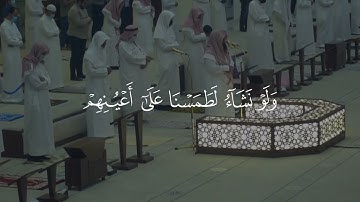 اليوم نختم على افواههم سوره يٓس