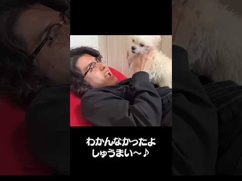 しゅうまいどこ行った？#shorts