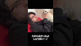 しゅうまいどこ行った?#shorts