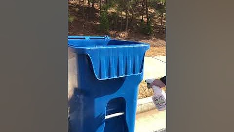 How to Keep Animals away from your Garbage Cans