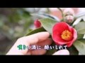 東京の椿姫