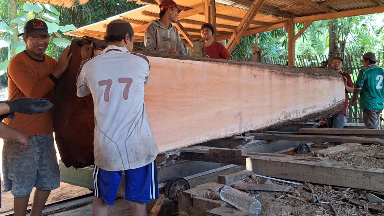 The processs of turning a mahogony monster at the sawmill 