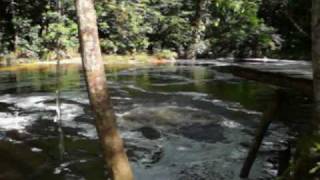 Black River Jump