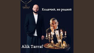 Колючий, Но Родной