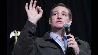 “Shut Up And Do Your Job!” Ted Cruz Slams Republicans Who Spend All Their Time Insulting Trump