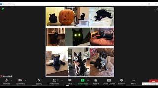 HLS Library Halloween Tour