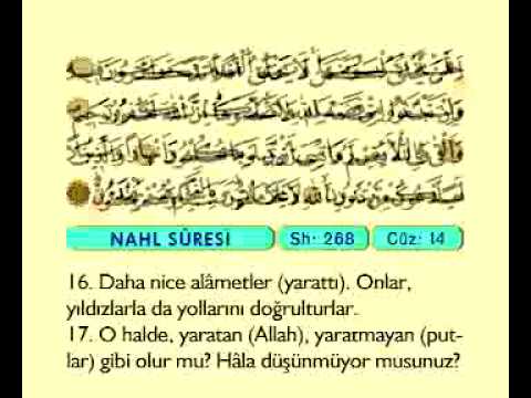 Fatih Çollak 14.cüz (Komple Video Hatim)