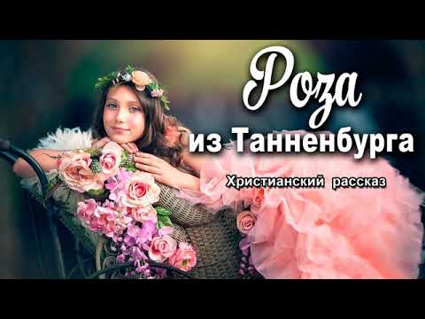 Роза из танненбурга аудиокнига