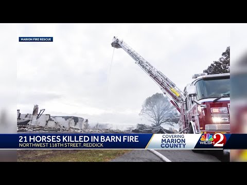 Nearly 2 Dozen Horses Killed In Florida Barn Fire 
