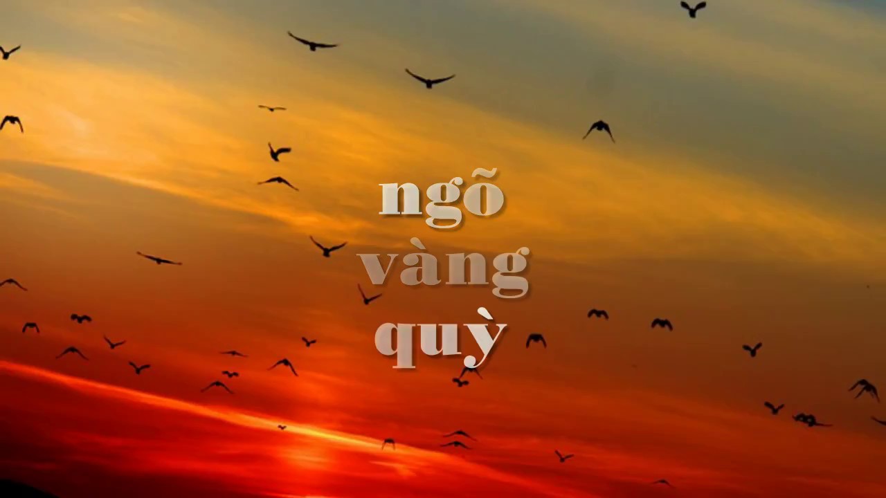 Ngõ Vàng Quỳ - Đỗ Thất Kinh - Thu Vàng
