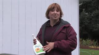 How To Stop Green Algae From Growing On North Foundation Of House