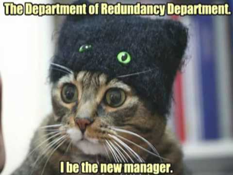Very Funny Cats 77
