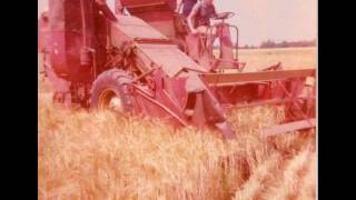 Moisson harvest Massey Harris en 1975 à Estaires ernte