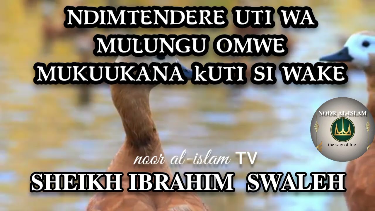 Ndi mtendere uti wa Mulungu Omwe mukuukana kuti si wake _sheikh ibrahim swaleh