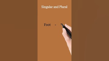 foot ka plural word #shortvideo #singularandplural