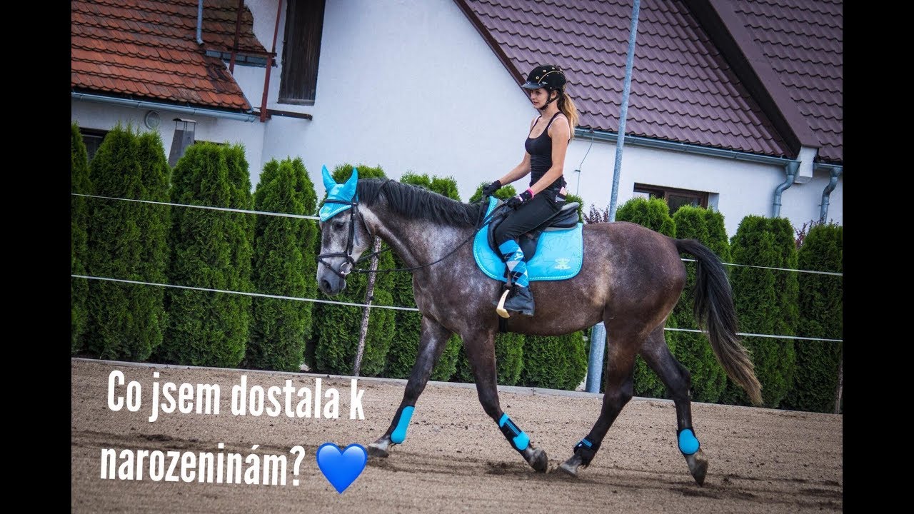 CO JSEM DOSTALA K NAROZENINÁM?🙈💕 II Natty & Koně