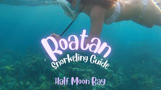 ROATAN HONDURAS  West End Snorkeling Guide to Half Moon Bay
