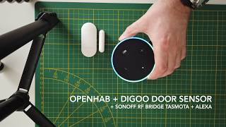 OpenHAB + Digoo + Sonoff RF Bridge + Alexa