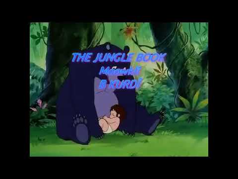 Mawkly Badini Xalaka 13 ماوكلي باديني خه له كا ١٣