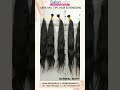 Keratin I Tips Hair Extensions