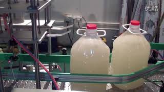 Automatic dual head edible oil filling cap pushing pressing bottling line