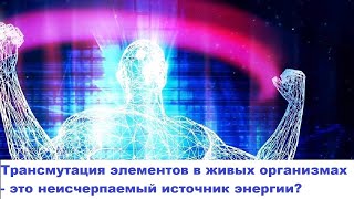 Трансмутация элементов в живых организмах   это неисчерпаемый источник энергии?