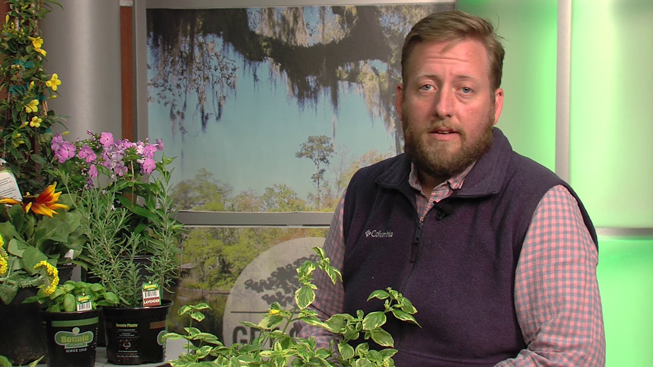 Northshore Garden & Plant Sale in St. Tammany Parish