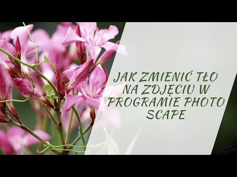 Jak zmienić tło w programie PhotoScape