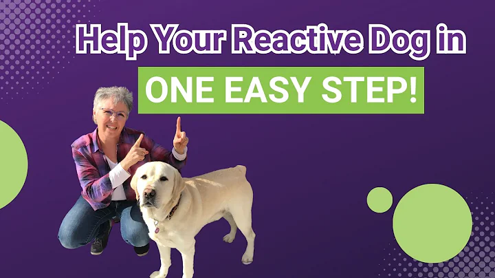 Struggling with Dog Reactivity? Help your dog RELAX & Improve Her Behavior!