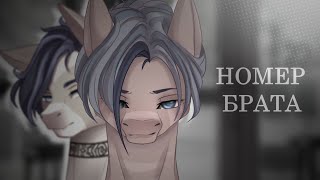 PMV|Pony animation - номер брата
