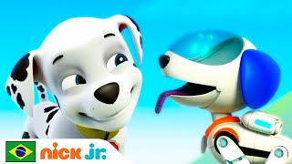 Patrulha Canina | Os filhotes salvam um robô-filhote selvagem! | Nick Jr. em Português