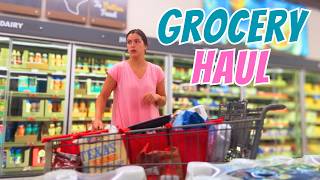 BIG Aldi Haul Before Camping! Aldi Grocery Haul on a Budget! Shop With Me For My Family of 6 at Aldi