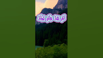 سورة الإخلاص  بصوت القارئ محمد هشام