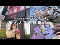 vlog|ももクロ×ウェンディーズコラボとお花見を楽しむ1日🌸ランダムグッズ開封