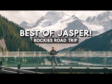 WILCOX PASS in JASPER National Park! | Westfalia Vanlife Rockies Road Trip