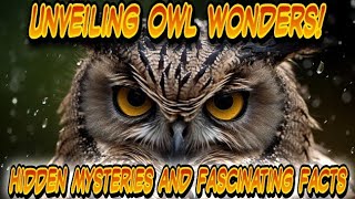 🌙 Owl Odyssey: Revealing Secrets of Silent Flight and Nocturnal Wisdom! 🦉✨ | Wildlife Exploration Owls Silent Guardians Of The Night Life Lessons In Wisdom And Awareness