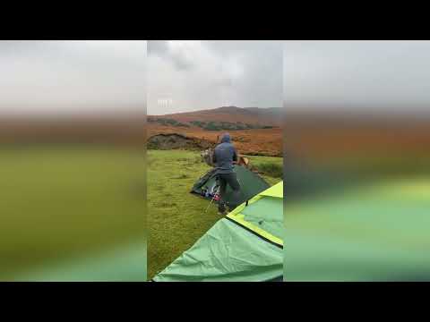 Scots valeter gatecrashed by curious stag while out camping