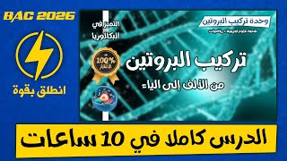 تركيب البروتين من الألف إلى الياء في عشر ساعات كاملة 🚀