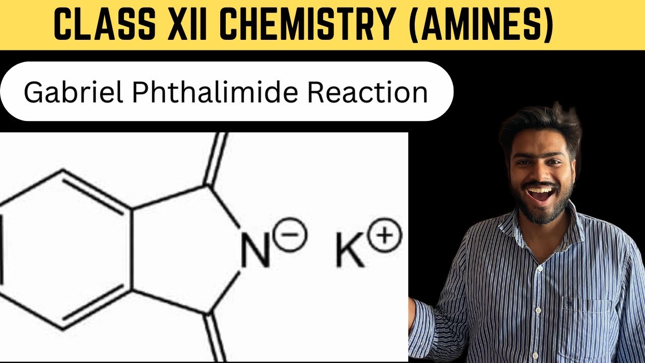 Gabriel Phthalimide Reaction | Amines | Class 12 Chemistry - YouTube