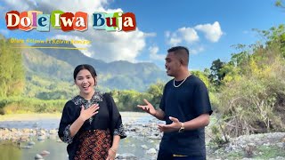 OLIVA HELMIN || DOLE IWA BUJA Ft Kelvin Remixer || Lagu Joget  Daerah Ende Lio 2026