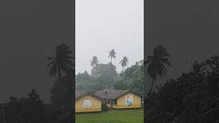 Дождь на Шри Ланке