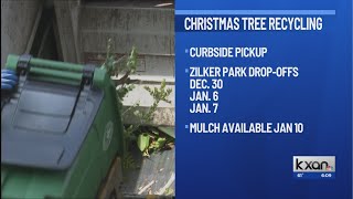 How to recycle your Christmas tree in Austin