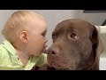 Baby told a secret to his dog so cute