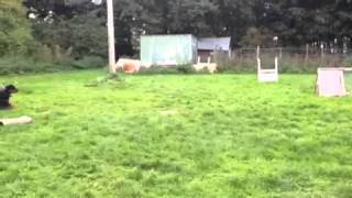 Heidi 18 Months Gun Attack