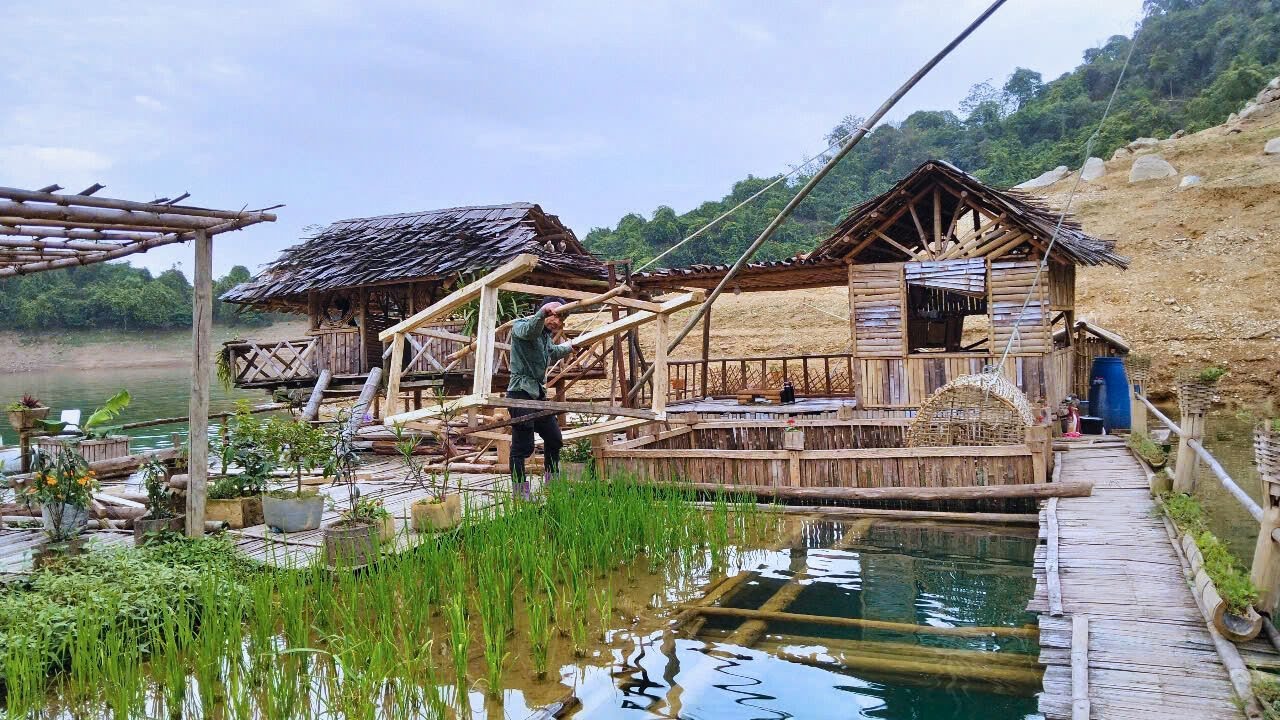 Peaceful life with 2 dogs. Building a floating farm on the lake, growing vegetables and raising fish
