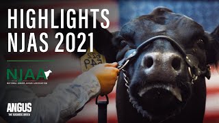 NJAS21 - National Junior Angus Show 2021 - HIGHLIGHTS