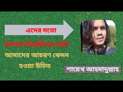 ইসলাম বিদ্বেসীদের প্রতি আমাদের আচরণ কেমন হওয়া উচিত | Ahmadullah Waz 2022| New Bangla Waz (2022)