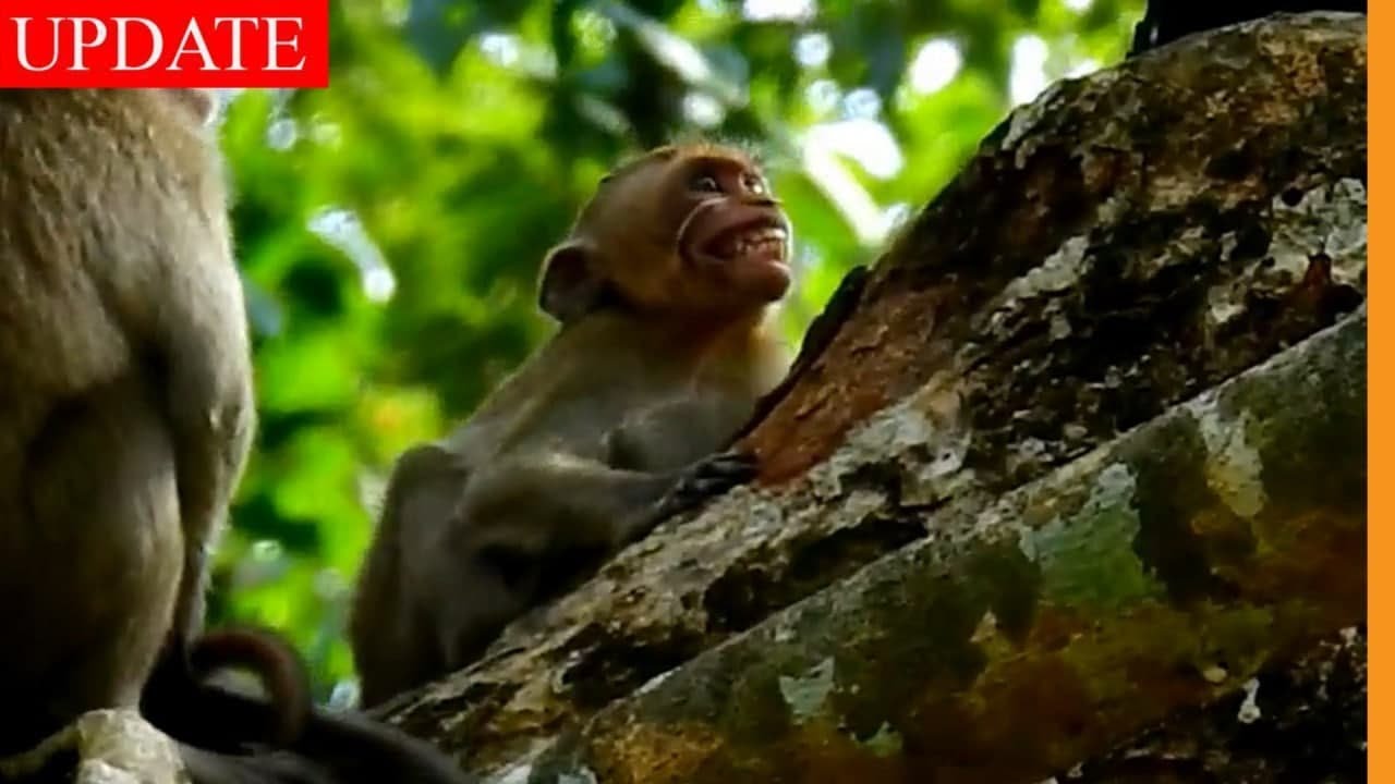 Janna Cry Shocking Lost Her Little Chance to Ask Milk When April Come