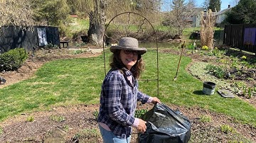 FINAL PERENNIAL GARDEN CLEAN UP OF SPRING!